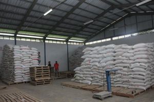 Resi Gudang Gabah dan Beras Diproyeksi Tumbuh di  Semester II