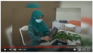 Ini Tutorial Membuat Ramuan Daun Sungkai ala Hesti Haris