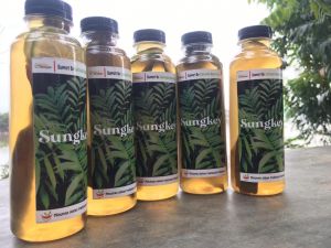 Rutin Minum Ramuan Daun Sungkai, Membantu Penyembuhan 3 Jurnalis Ini dari Covid-19