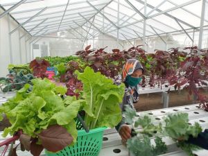 SKK Migas-KKKS Berdayakan Masyarakat Hadapi Pandemi Covid-19