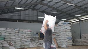 Jelang Panen, KBI Dorong Pemanfaatan Resi Gudang