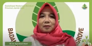 Sinergikan Program, BRGM Adakan Sosialiasi Restorasi Gambut di Jambi