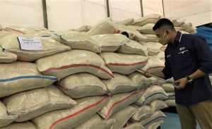 Resi Gudang Makin Diminati Pemilik Komoditas