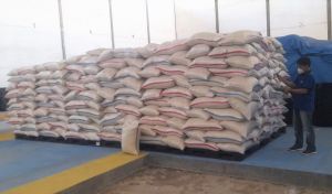 Resi Gudang untuk Ketahanan Pangan, Ini Upaya yang Perlu Dilakukan