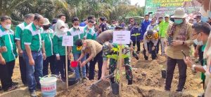 Al Haris Dorong Porang Jadi Komoditi Unggulan