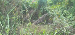 KABEL PLN DI PARIT DAN SEMAK