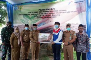 Dukung Peningkatan Ketahanan Pangan dan Sayur Hortikultura, Pertamina Resmikan Kangkung Hijau