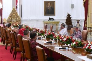 Dewan Komisioner OJK Diterima Presiden