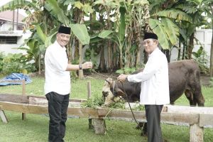 Bank Jambi Kurban 53 Sapi dan 1 Kambing