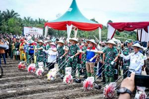 Dukung Ketahanan Pangan Nasional, Sinergi PHR - TNI AD Olah 100 Ha Tanaman Pangan