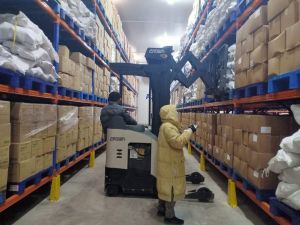 Produksi Ayam Potong Diiproyeksi Surplus, KBI Sarankan Pengusaha Manfaatkan Resi Gudang