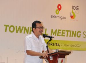 SKK Migas Pastikan Pasokan Gas Untuk Industri Pupuk Terpenuhi