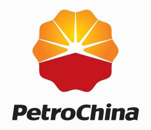 Pekerja Kecelakaan Sudah Dapat Penanganan Medis dari PetroChina