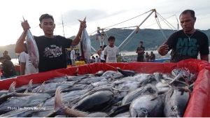 SRG Diminati Nelayan, Registrasi Resi Gudang Komoditas Ikan Meningkat Tajam