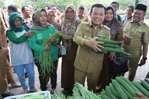 Gubernur Launching GPM Serentak Provinsi Jambi di Batanghari