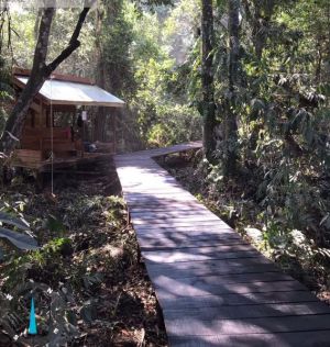 Membangun Kembali Ekowisata, Mencegah Karhutla di Gambut