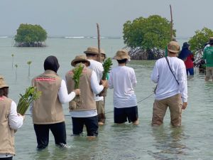 PetroChina Menanam Harapan Melalui Donasi 5.000 Mangrove