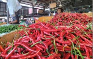 Inflasi 2023 di Jambi Terjaga