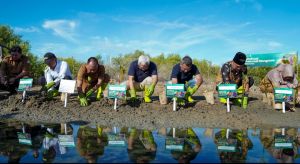 IOH Optimalkan Teknologi Untuk Konservasi Mangrove di Aceh