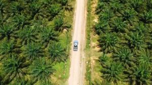 ICDX Bidik Potensi Pasar Fisik CPO di Sumatra Utara