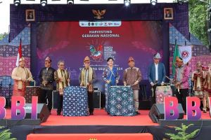 OJK Dorong UMKM Menjadi Pilar Utama Perekonomian Nasional