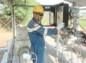 SKK Migas Tetapkan Standarisasi Pengukuran CO2 Pada Program CCS/CCUS 