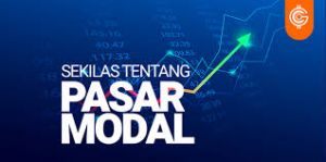 Inilah Profesi dan Lembaga Profesi Pasar Modal