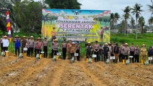 Gubernur Al Haris Ikut Tanam Jagung Serentak 1 Juta Hektar