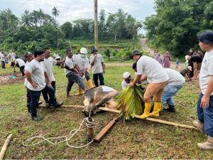 PHR Zona 1 Rayakan Idul Adha dengan Semangat Berbagi dan Kebersamaan